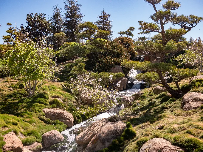 20190313-P1090734