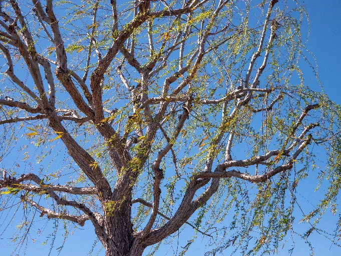 20190313-P1090751