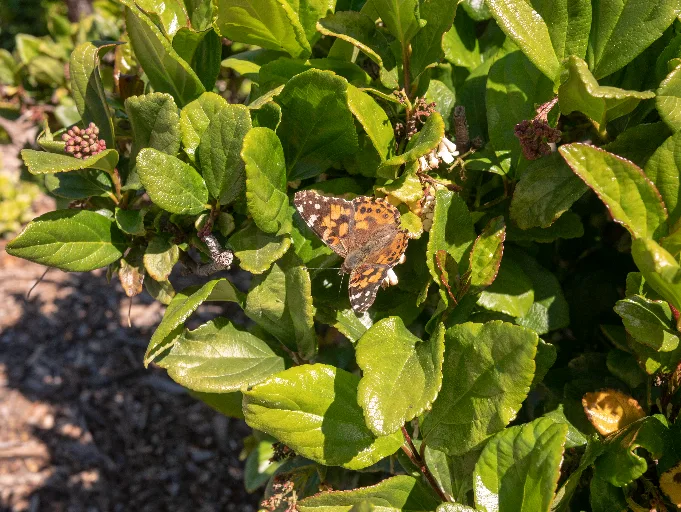 20190313-P1090763