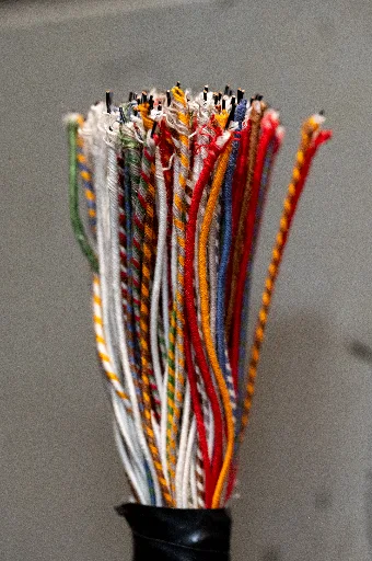 20240324-DSC_0075