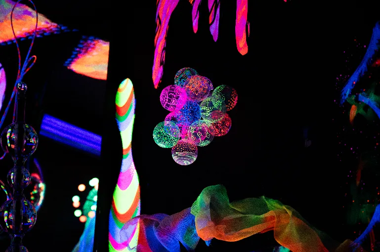 20230923-DSC_3122