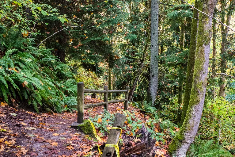 20211023-DSC_5731