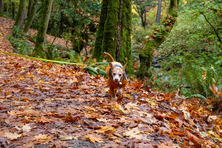 20211023-DSC_5734