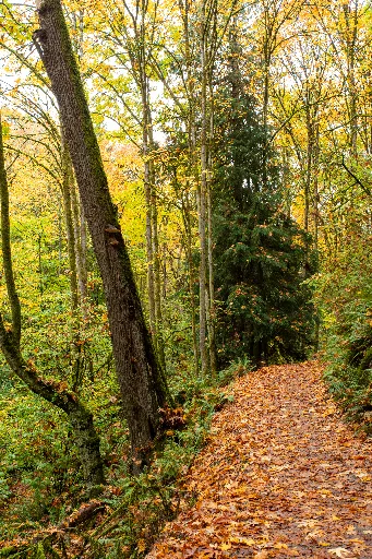20211023-DSC_5740