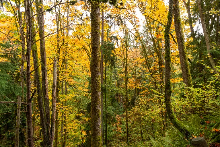 20211023-DSC_5749