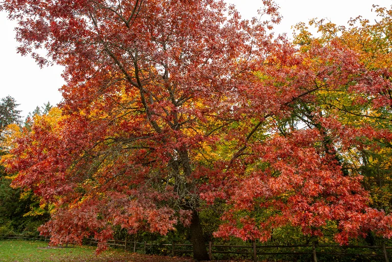 20211023-DSC_5755
