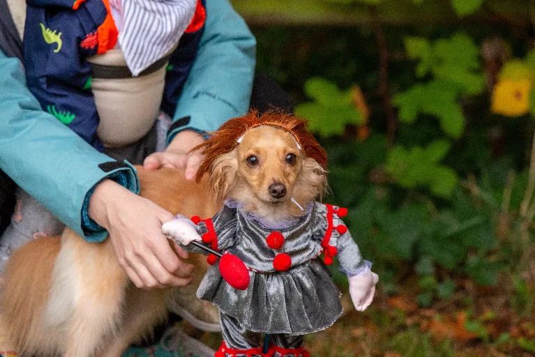 20211023-DSC_5771