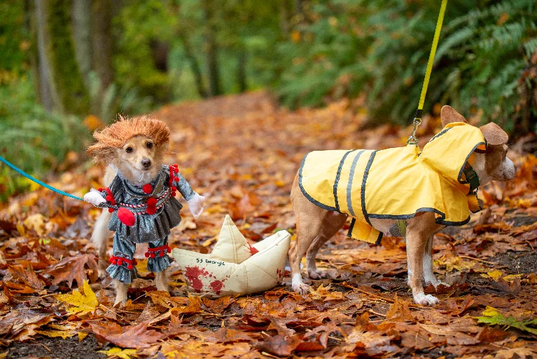 20211023-DSC_5806