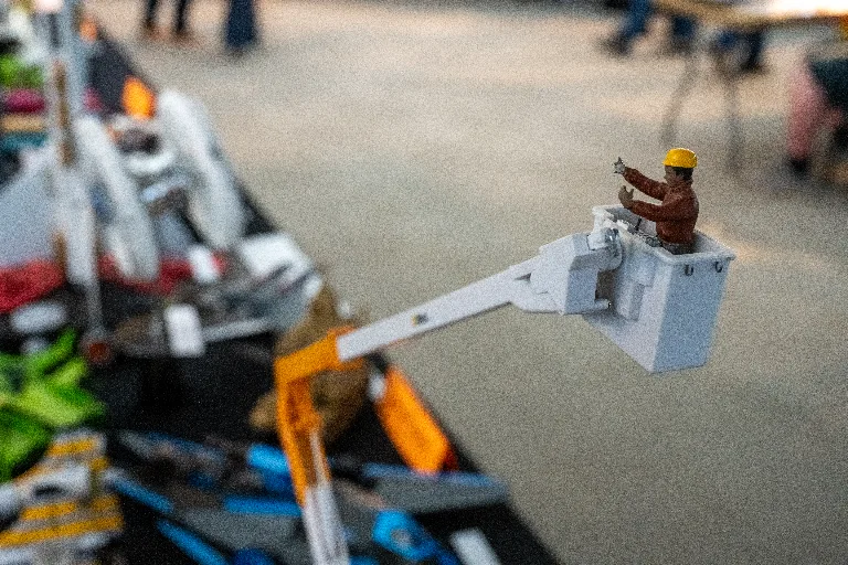 20250215-DSC_0936