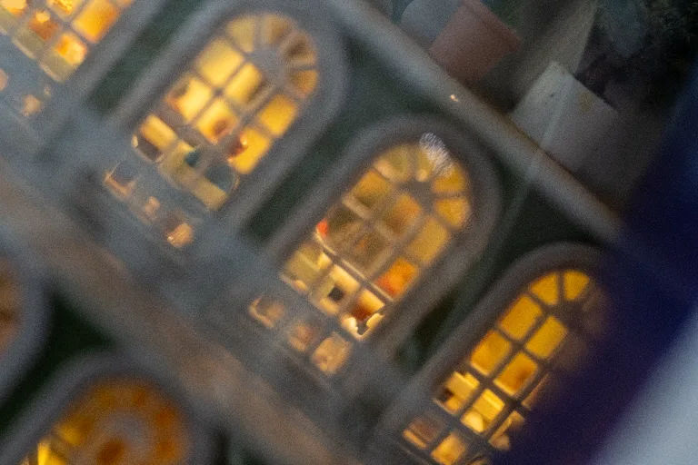 20250215-DSC_1028