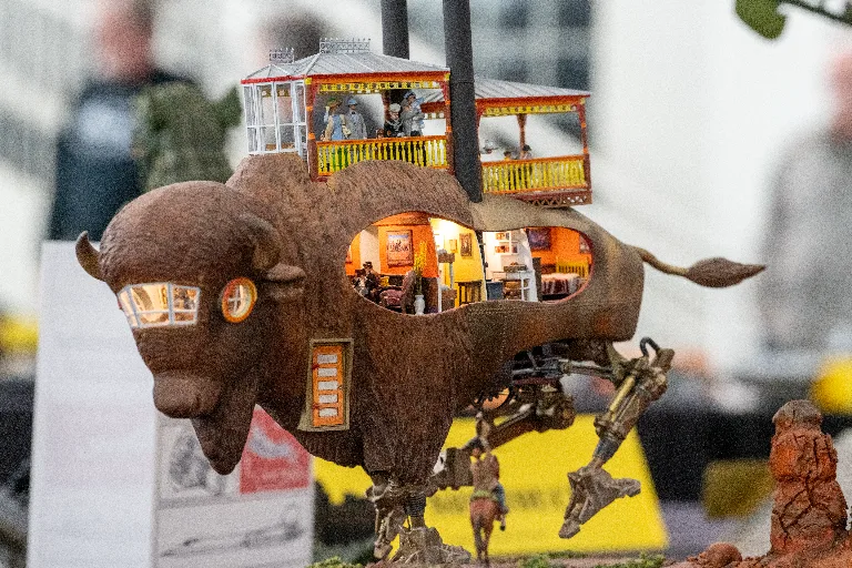 20250215-DSC_1030