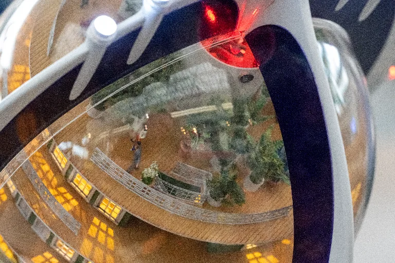 20250215-DSC_1037