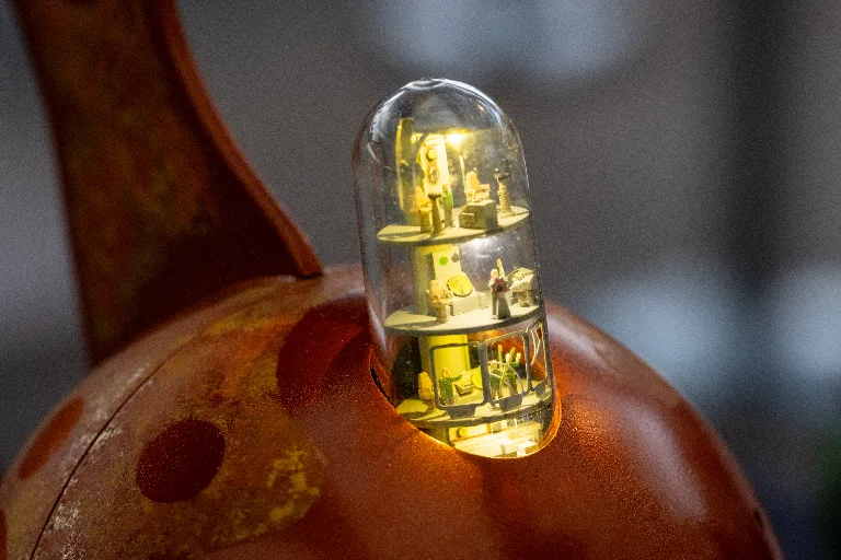 20250215-DSC_1039