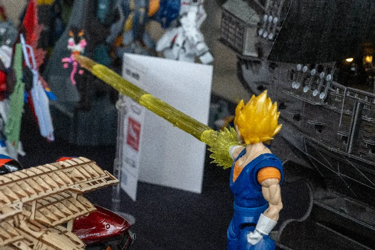 20250215-DSC_1052