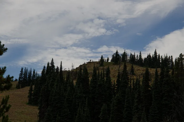 20140720-DSC_4923