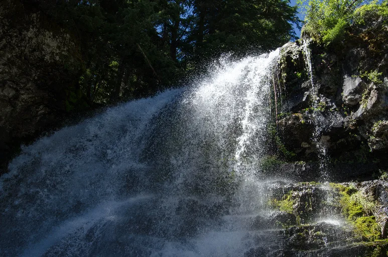20160730-DSC_4944