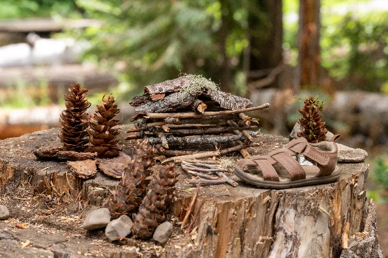 20230709-DSC_0358