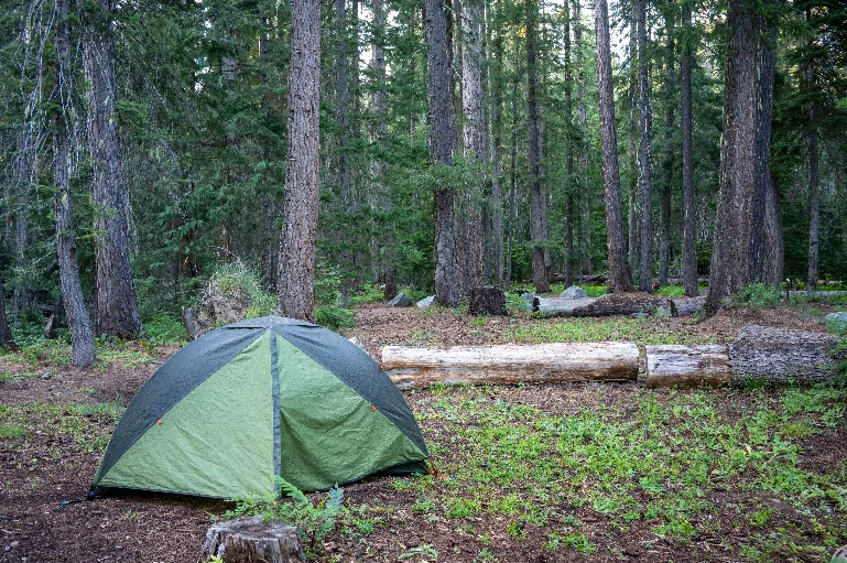 20230709-DSC_0380