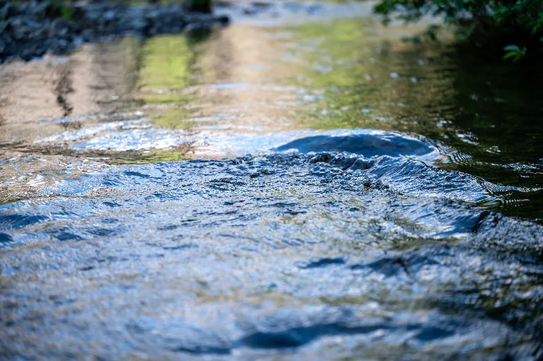 20230710-DSC_0535