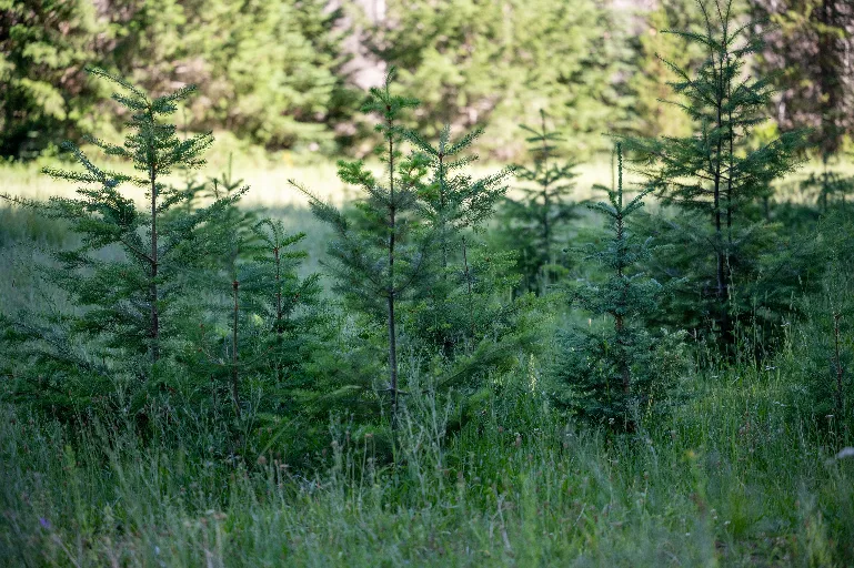 20230710-DSC_0543