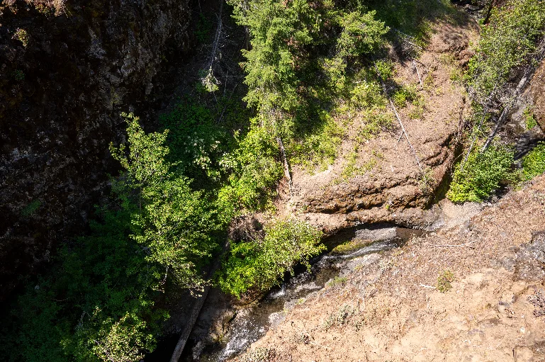 20230712-DSC_0640