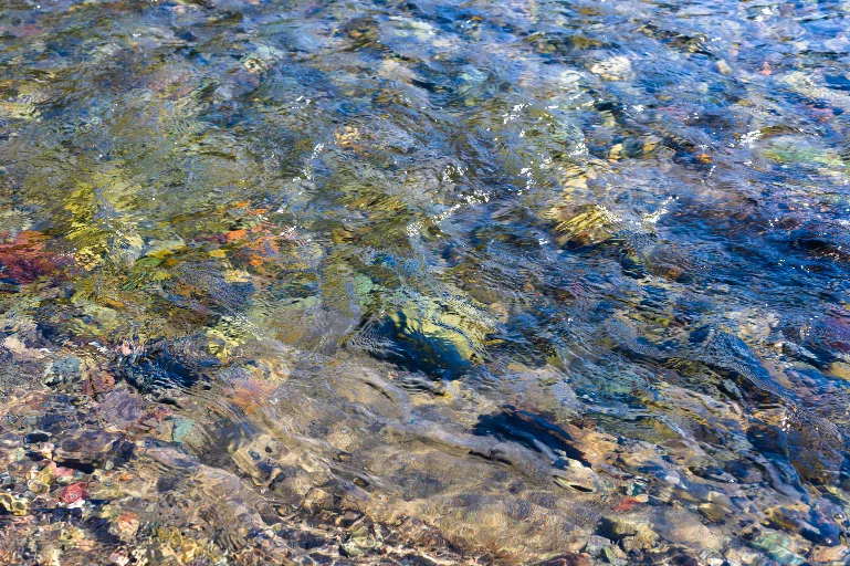 DSC_2813
