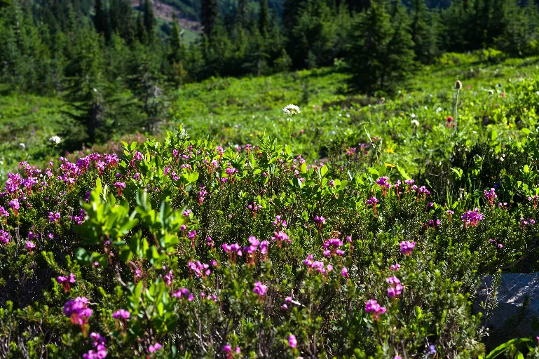 DSC_3019