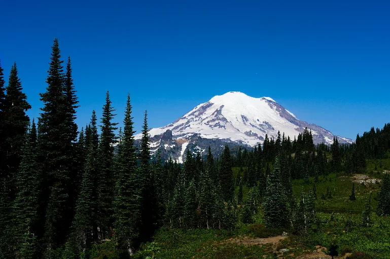 DSC_3090
