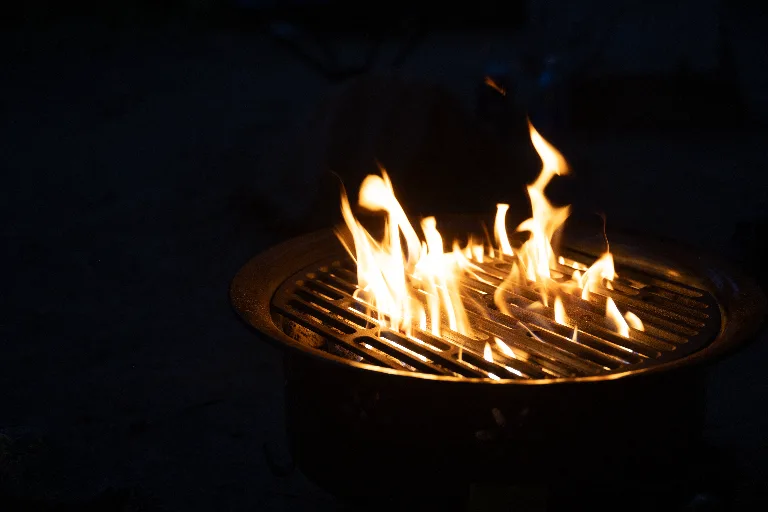20250717-DSC_3121