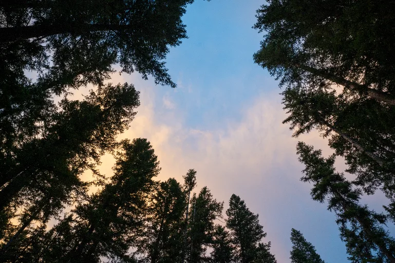 20260715-DSC_8041