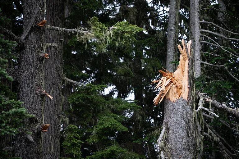 20260717-DSC_8058