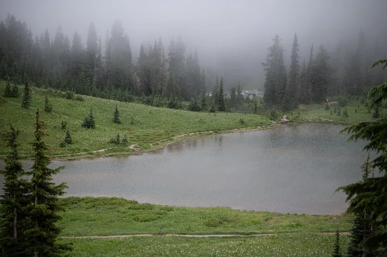 20260717-DSC_8059