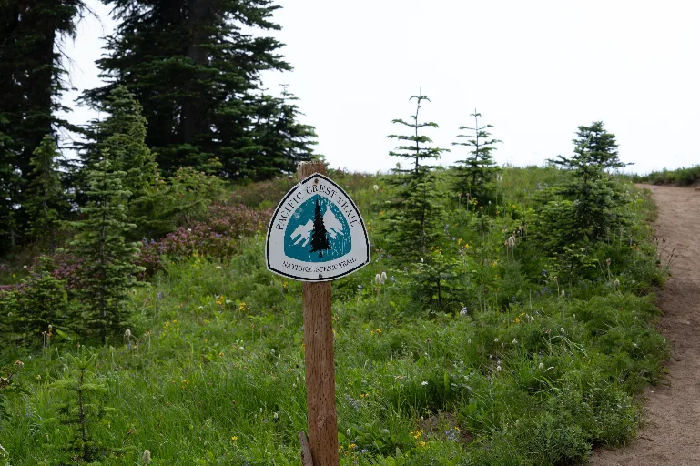 20260717-DSC_8068