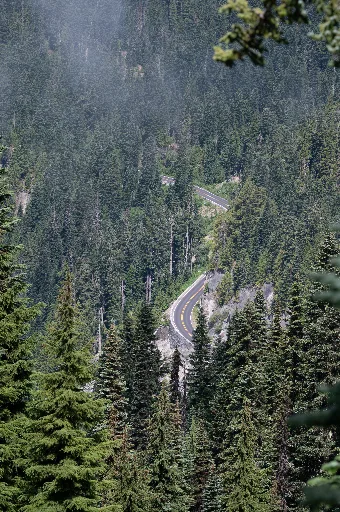 20260717-DSC_8166
