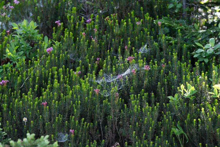 20260717-DSC_8168