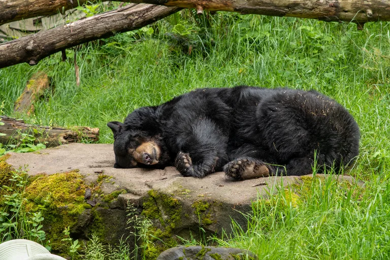 20190526-DSC_3786