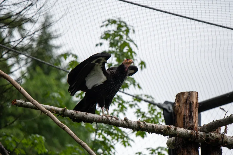 20190526-DSC_3793
