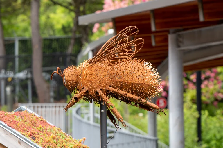 20190526-DSC_3816