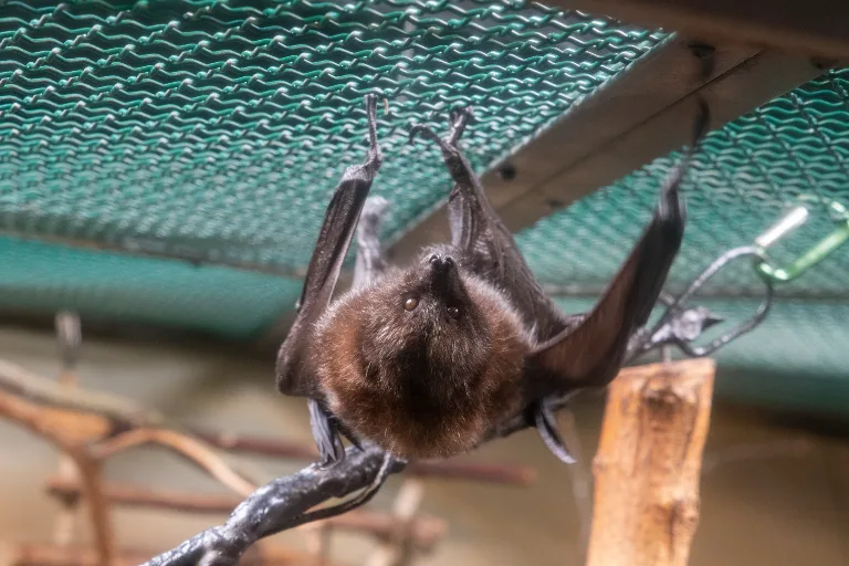 20190526-DSC_3833