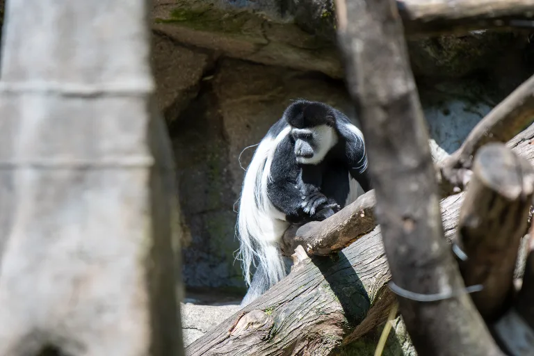 20190526-DSC_3850