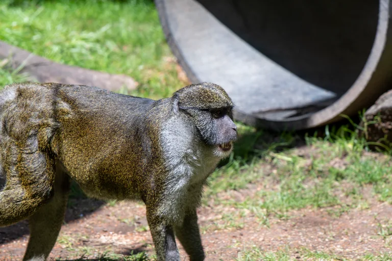 20190526-DSC_3856