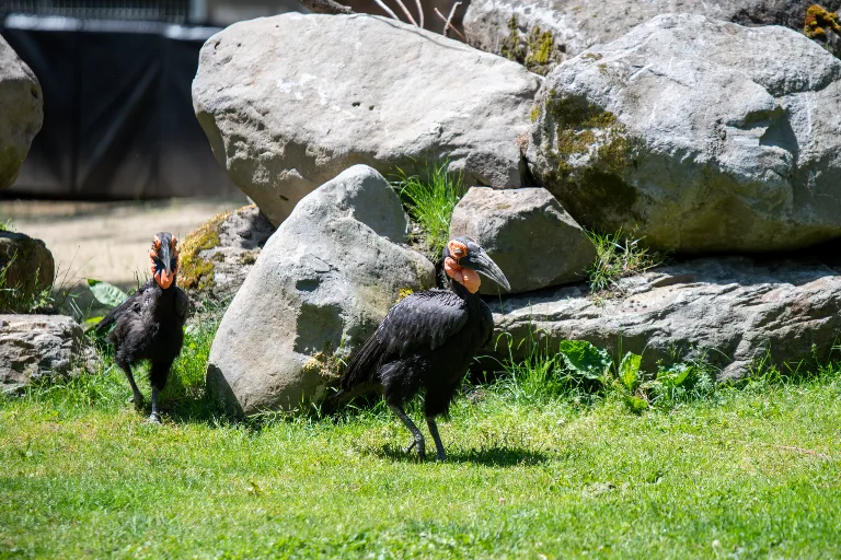 20190526-DSC_3910