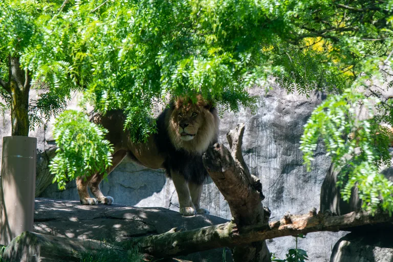 20190526-DSC_3924