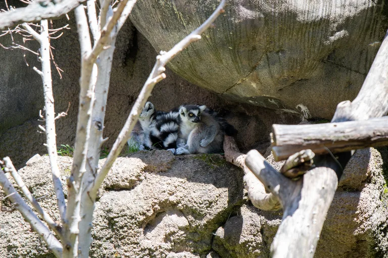 20190526-DSC_3932