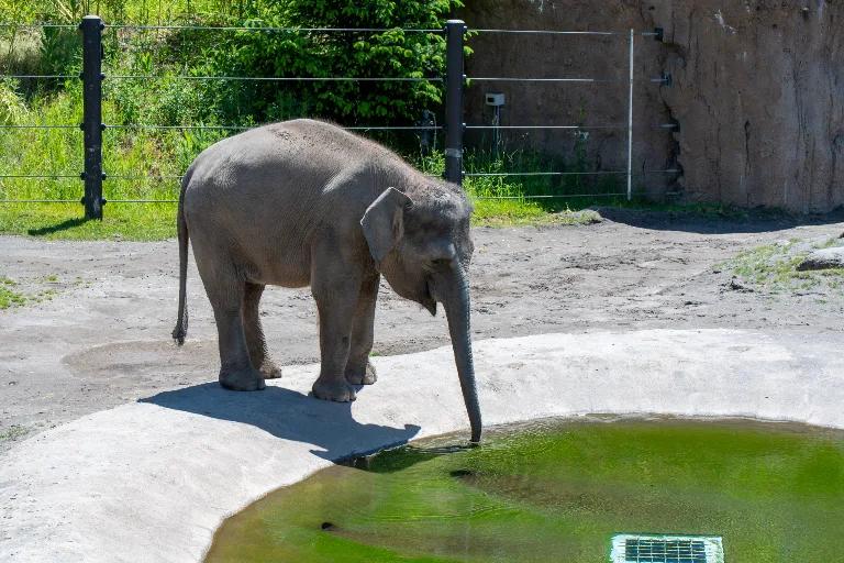 20190526-DSC_3966