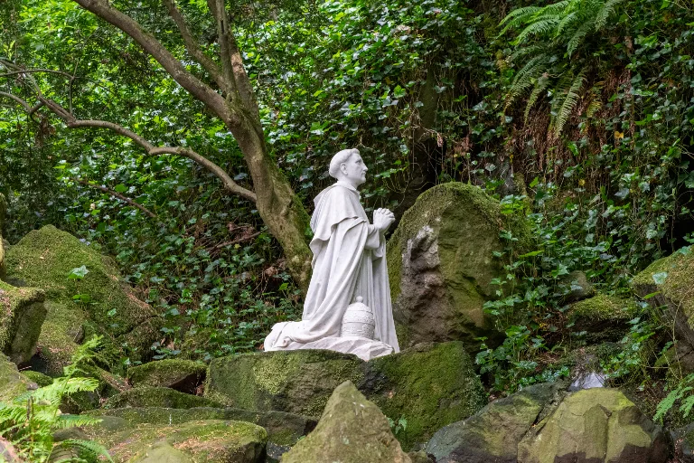 20190526-DSC_3996