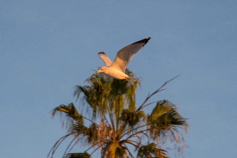 20180113-DSC_3501
