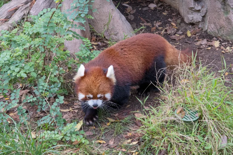 20180114-DSC_3546