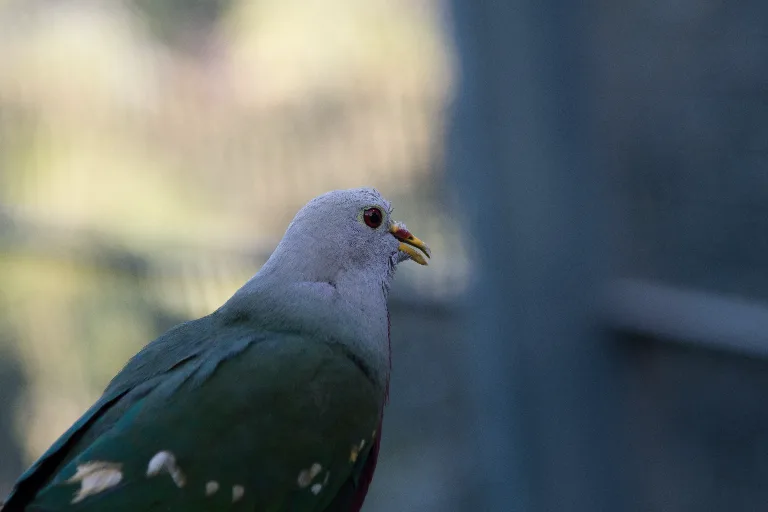 20180114-DSC_3585