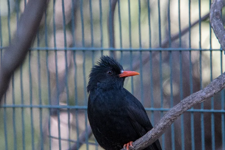 20180114-DSC_3587